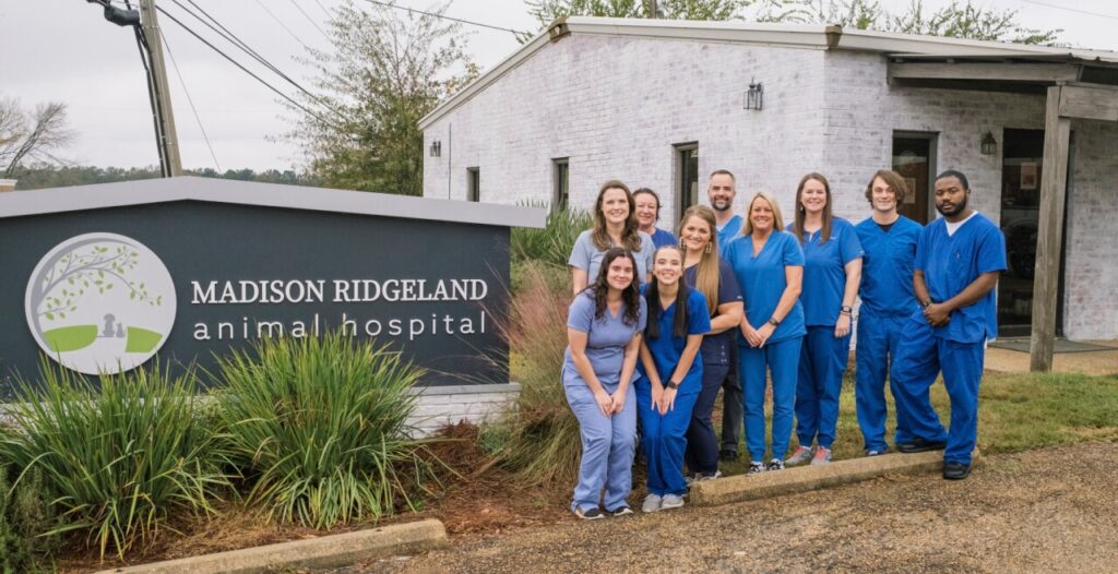 madison ridgeland animal hospital team standing in front of clinic